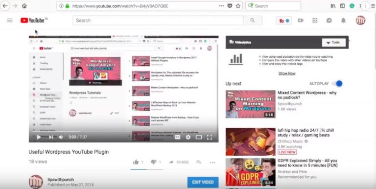 Embed YouTube Video (Ultimate Guide) - PunchSalad