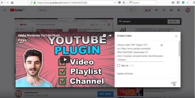 Embed YouTube Video (Ultimate Guide) - PunchSalad