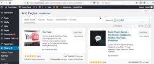 Embed YouTube Video (Ultimate Guide) - PunchSalad