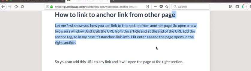 anchor wordpress plugin
